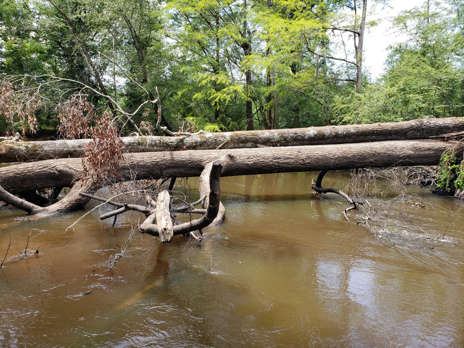 Parks and Recreation Offices County of Florence